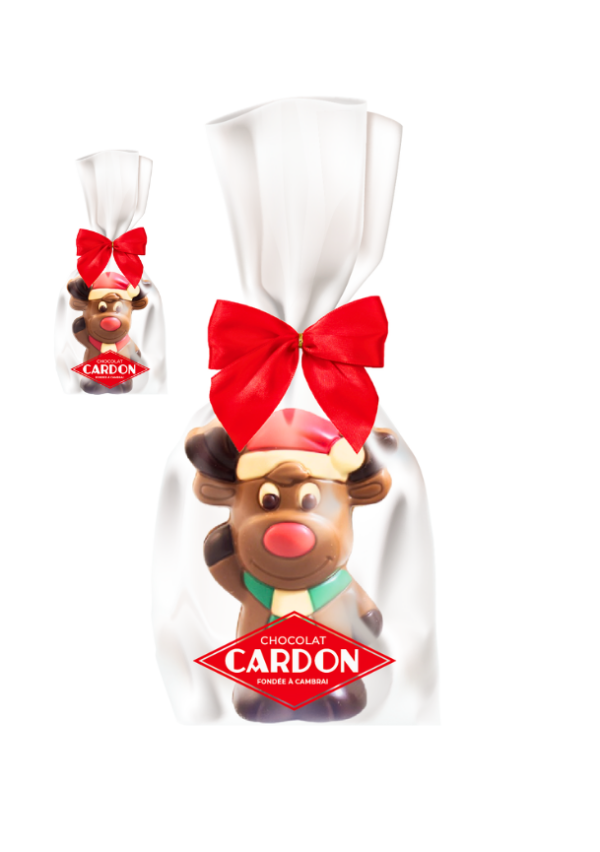 Sachet Elan de Noël "Arthur" 12cm lait coloré assorti