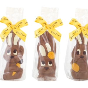 assortiment de petit lapin chocolat